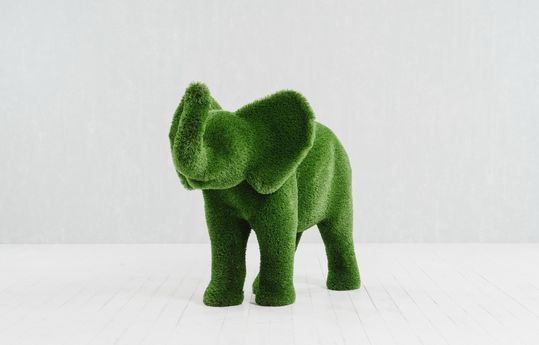 Слон малый